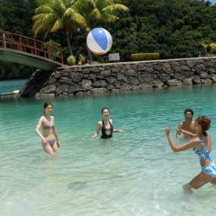 Shuffle Island Season 3 Japanese TV Program photo