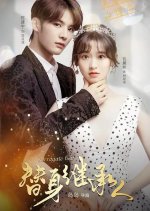 Surrogate Heir Chinese Drama photo