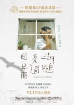 Kissing the Ground You Walked On