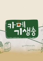 Cafe Parasite Korean TV Program photo