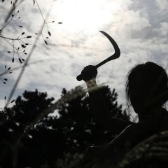 Bedevilled Korean Movie photo