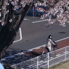 Goodbye Japanese Movie(2021) photo