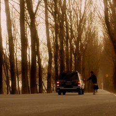 Bus 44 Hong Kong Movie photo