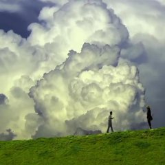 Casting Blossoms to the Sky Japanese Movie photo