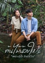 The Forest Thai Drama(2023) photo