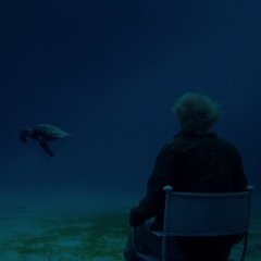 The Shell Collector Japanese Movie photo