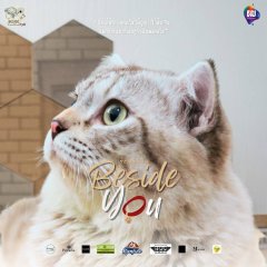 Beside You Thai Drama photo