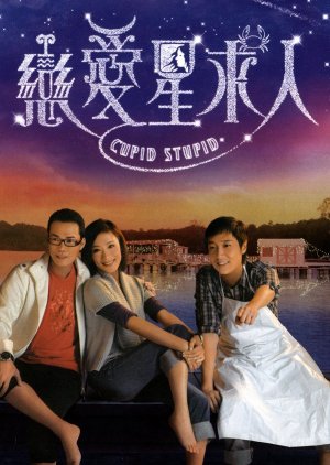 Cupid Stupid (2010) poster