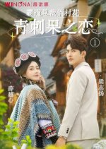 Ba Dao Zong Cai Qiao Cun, Hua Qing Ci Guo Zhi Lian Chinese Drama photo