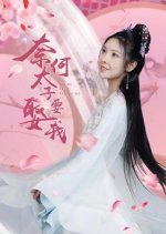 Nai He Tai Zi Yao Qu Wo Chinese Drama photo