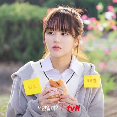 Serendipity's Embrace Korean Drama photo