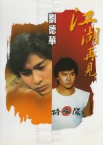 Till We Meet Again Hong Kong Drama(1981) photo
