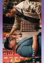 Stray Deer Taiwanese Movie photo