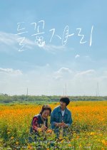 Where the Cosmos Blooms Korean Movie photo