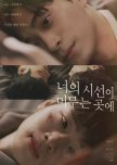 Where Your Eyes Linger (Movie) korean drama review