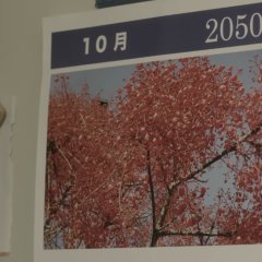 Ordinary Life Japanese Movie photo