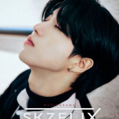 SKZ Flix Korean Movie photo