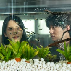 Under Your Bed Korean Movie(2023) photo