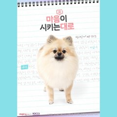 As Your Heart Tells Korean Drama photo