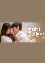 Why Opposites Attract Season 2 Korean Drama photo
