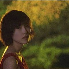 Sunflower Japanese Movie(2000) photo