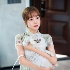 Healing Food, Healing Love Chinese Drama photo