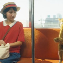 Whisper of the Heart Japanese Movie photo