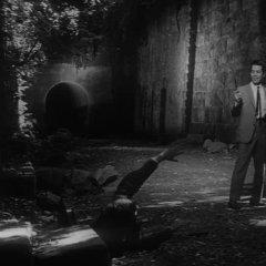 Branded to Kill Japanese Movie photo