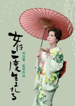 A Geisha's Diary