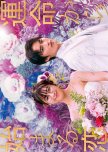 You Are My Destiny japanese drama review