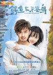 Crocodile and Plover Bird chinese drama review