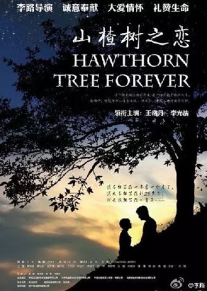 Hawthorn Tree Forever (2012) poster