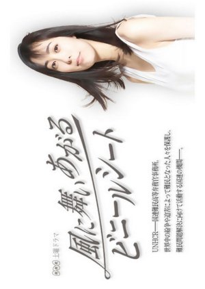Kaze ni Maiagaru Vinyl Sheet (2009) poster