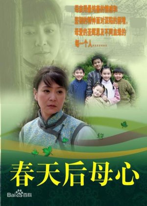Chun Tian Hou Mu Xin (2006) poster