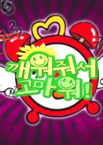 SS501 Thank You for Waking Me Up Korean TV Program photo