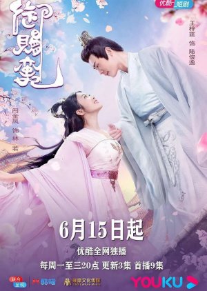 Imperial Concubine (2020) poster