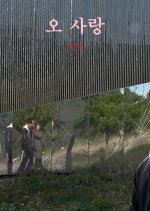 Oh, Love Korean Movie photo