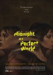Midnight in a Perfect World