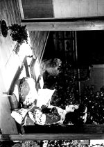 Utate Kon Niju Japanese Movie photo