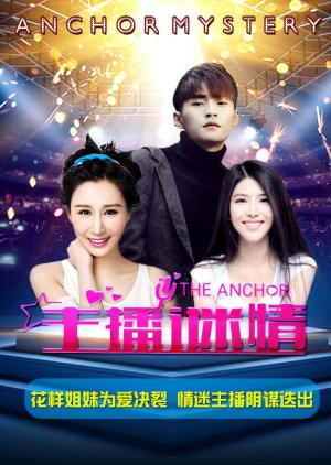 Anchor Mystery (2017) poster