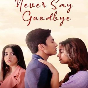 Never Say Goodbye (2021)