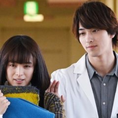 Panda Judges the World Japanese Drama photo