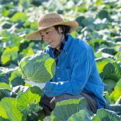 Koisenu Futari (2022) photo