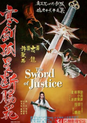 The Sword of Justice (1980) poster