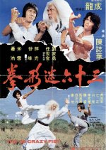 The 36 Crazy Fists Hong Kong Movie photo
