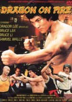 Dragon on Fire Hong Kong Movie photo