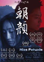 Miss Petunia Chinese Movie photo