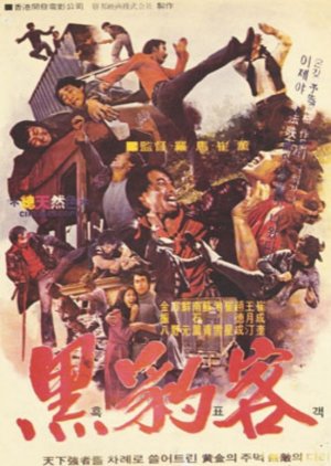 Hong Kong Connection (1974) poster