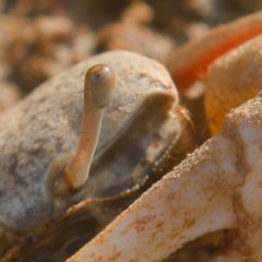 Sura: A Love Song Korean Movie photo