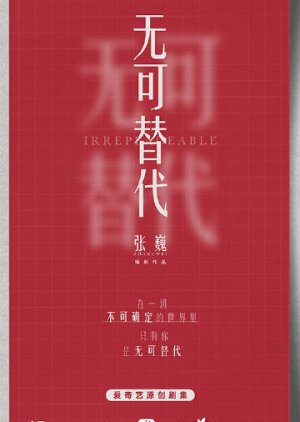 Irreplaceable () poster